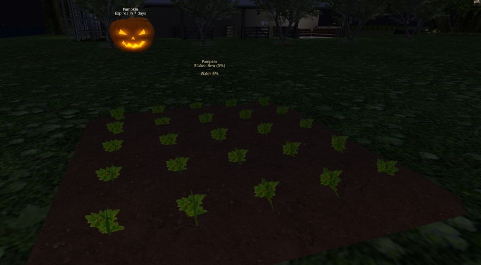 I converted the regular sf large field to a Halloween Pumpkin Field Also it makes a spooky new sound when placing it in storage lol... if anyone wants a copy for their farm or region. Now at Serenity Cabins Landing. https://opensimworld.com/hop/91320